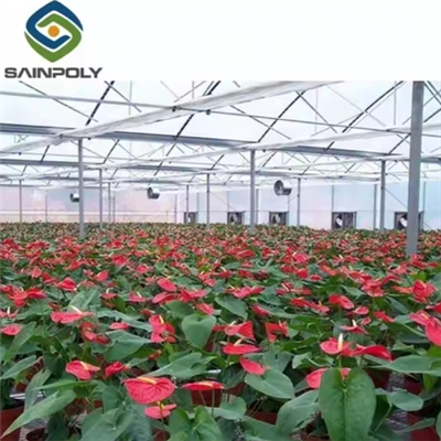 گلخانه هیدروپونیک سبزیجات